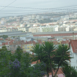 P1120761-w640_h480